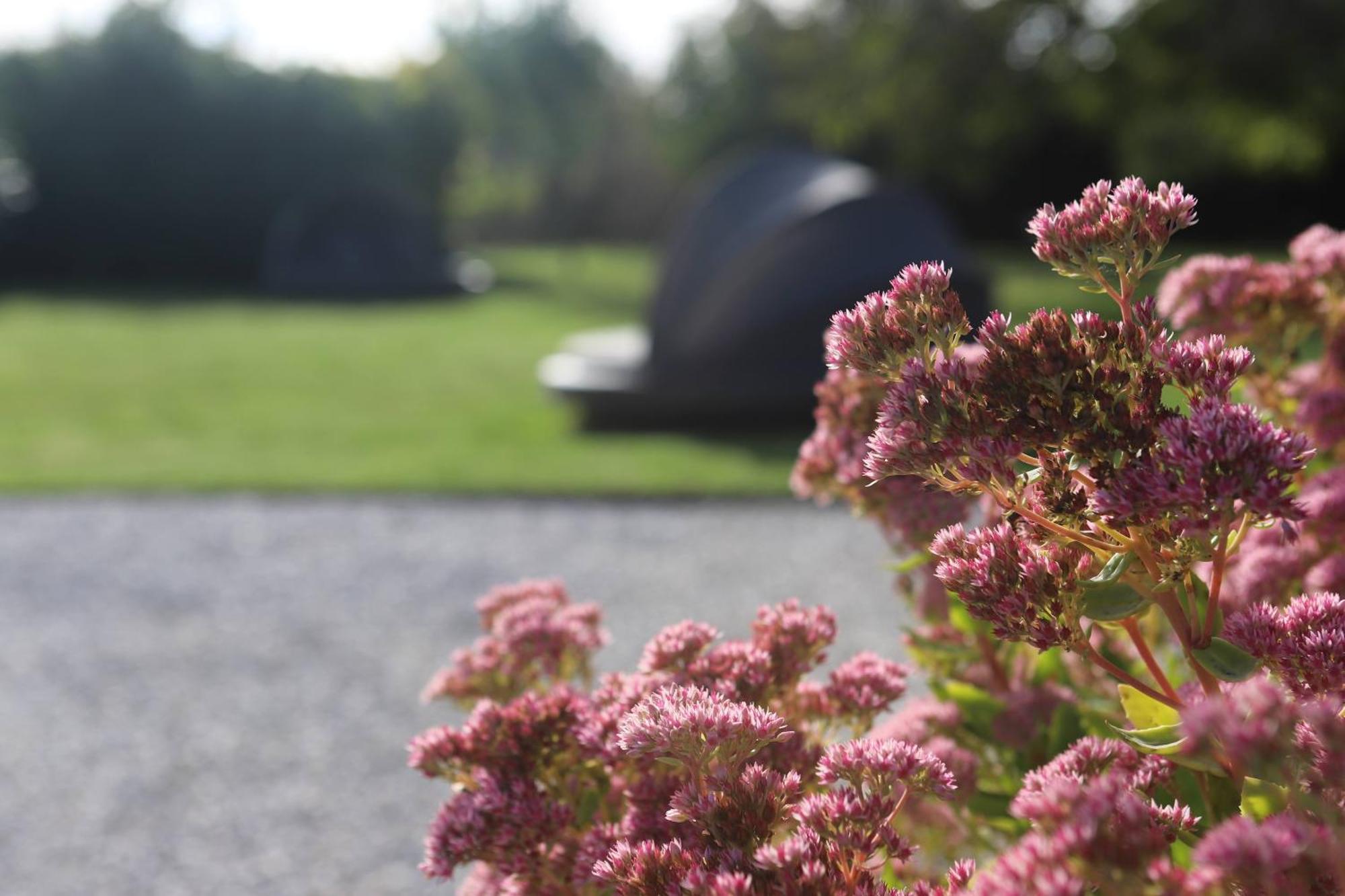 The Secret Garden - Keszthely Bed & Breakfast Exterior foto