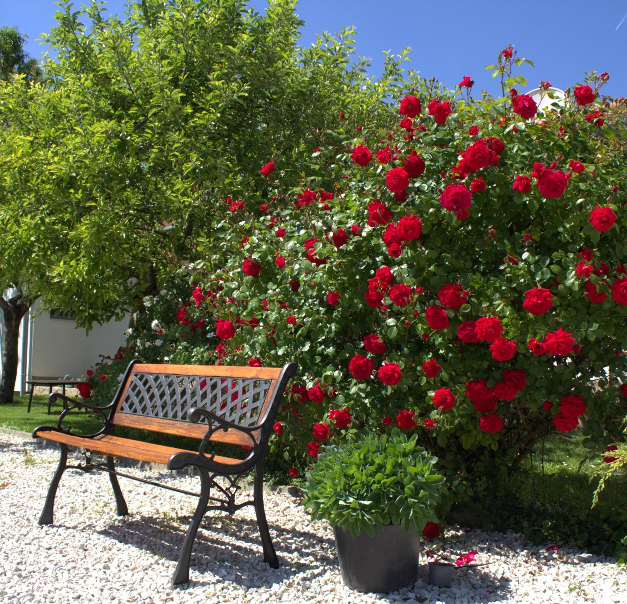 The Secret Garden - Keszthely Bed & Breakfast Exterior foto